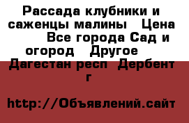 Рассада клубники и саженцы малины › Цена ­ 10 - Все города Сад и огород » Другое   . Дагестан респ.,Дербент г.